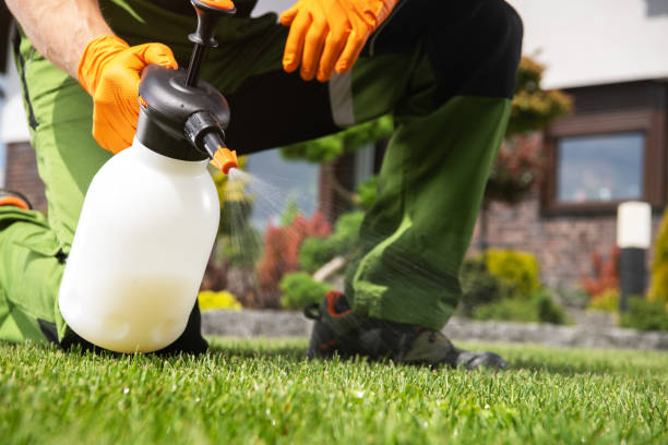 Best Emergency Pest Control  in Pinckney, MI